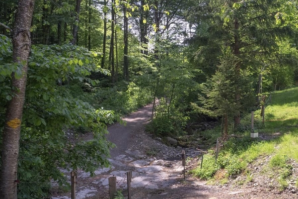 Rheintaler Höhenweg Teil 4 (****/T1)