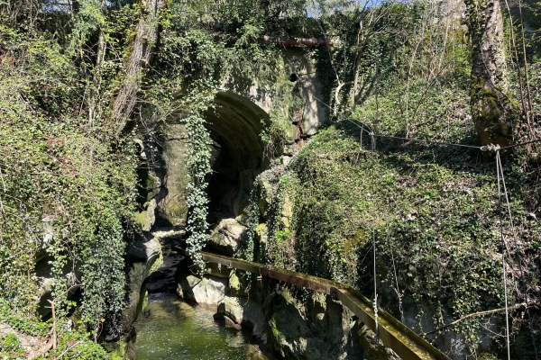 Immersion dans la nature neuchâteloise