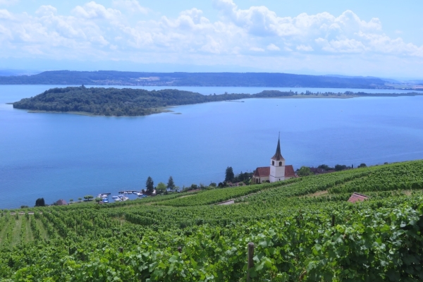 14. Roestigraben : étape 2, Tüscherz - La Neuveville (BE)