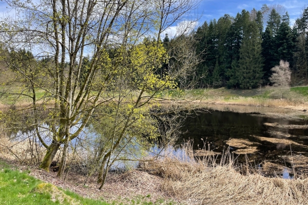 Mit Bewegung und Genuss an den See