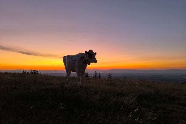 32. 12-Stunden-Nachtwanderung