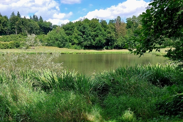 Von Dörflingen nach Thayngen