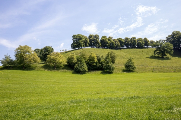 Im Thurgauer Garten von Karl dem Grossen