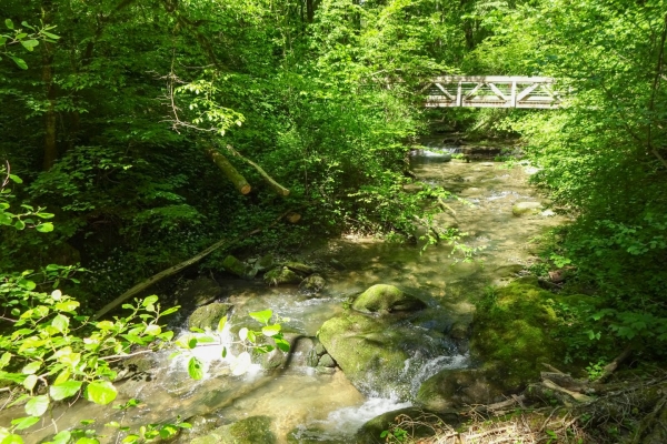Nature sauvage, nature cultivée