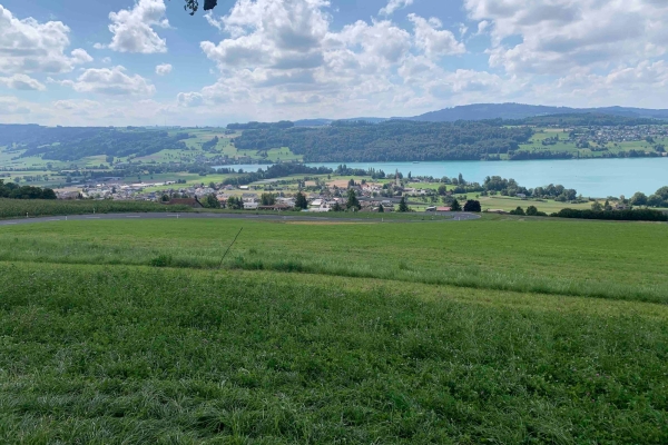 «Rund um den Kanton Luzern» Etappe 5: Oberschongau - Menziken