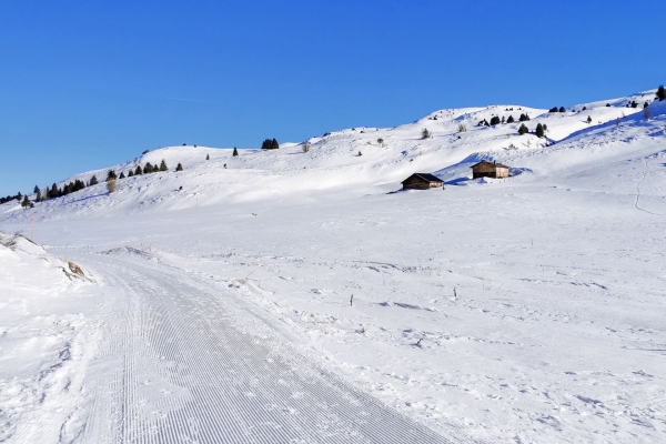 Verschneite Hochebene im Domleschg