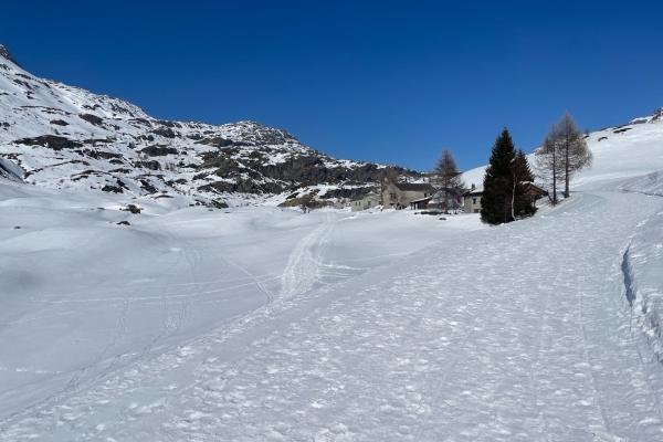 Kurzwanderung auf dem Simplonpass