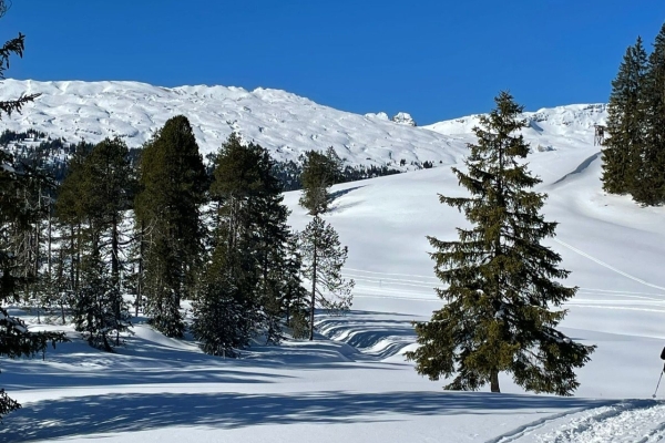 Schneeschuhwanderung durch die UNESCO Biosphäre in Sörenberg