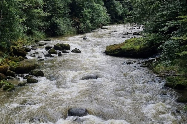 Die unbekannte Sihl, Ungestüm und Innovativ