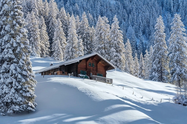 Schneeschuhtage Berner Oberland Adelboden