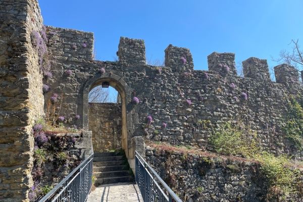 Immersion dans la nature neuchâteloise