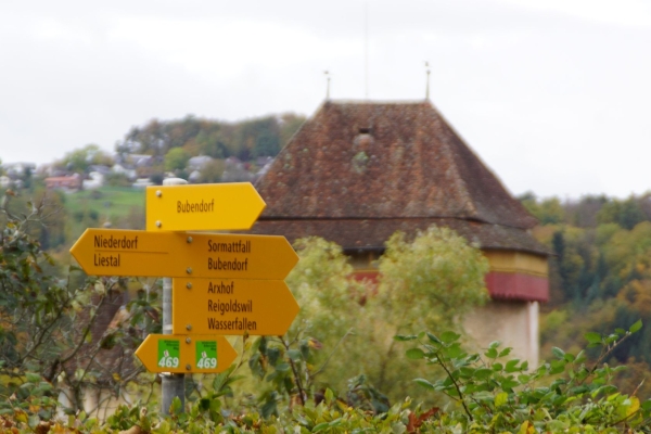 26. Vom Wald ins Mittelalter