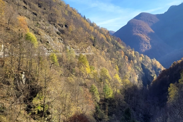 Ai Bagni di Craveggia