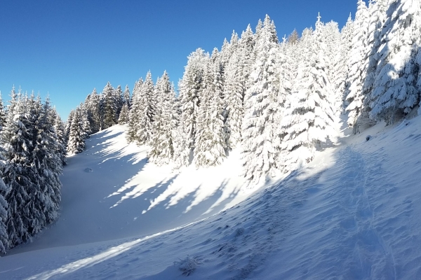 Davoser Schneeschuhtour für Einsteiger
