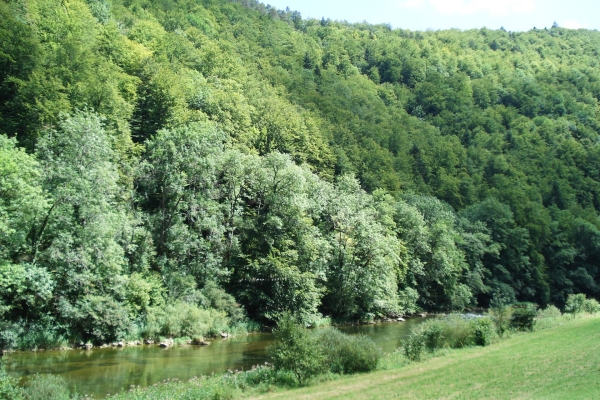 Agréable randonnée le long du Doubs