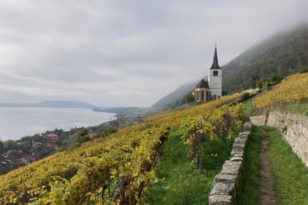 Durch die Twannbachschlucht am Bielersee