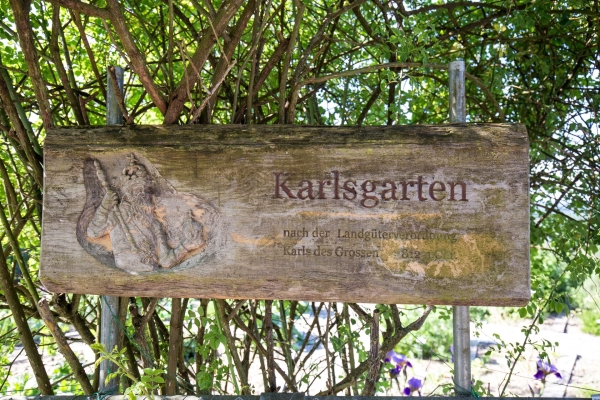 Im Thurgauer Garten von Karl dem Grossen