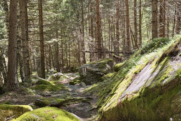 Unterwegs im wildromantischen Valle di Campo