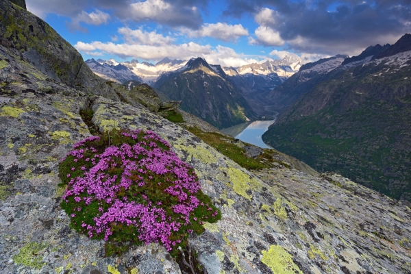 Chasse aux cristaux à l’Oberaar