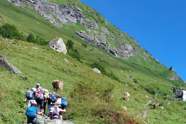 18. Übers Stäfeli und den Stäuberfall zur Fürenalp und zurück nach Engelberg