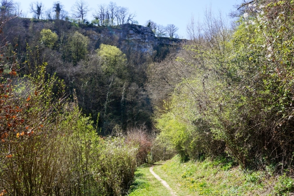 Nature idyllique et carrière aux abords de La Sarraz