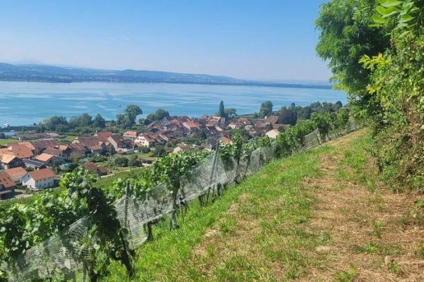 Hoch über dem Murten- und Neuenburgersee