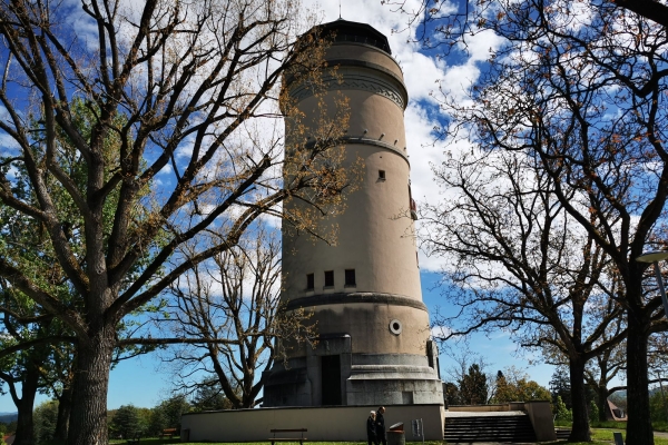 4. Ueber’s Bruderholz