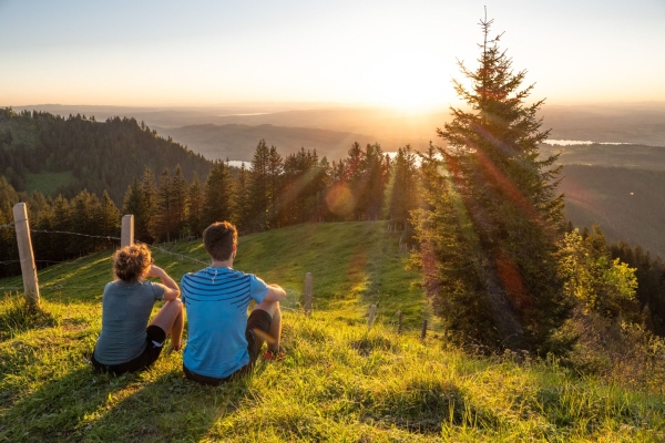 Orchideen auf dem Weg zum Wildspitz