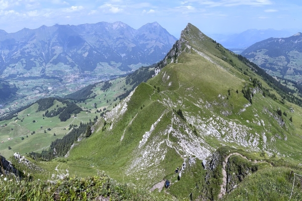41. Sur une crête du Kiental (BE)