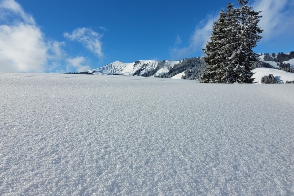 Winterzauber Sparenmoos