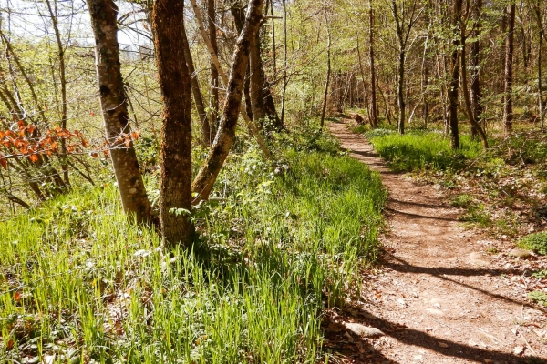Sulle rive della Reuss immersi nella natura