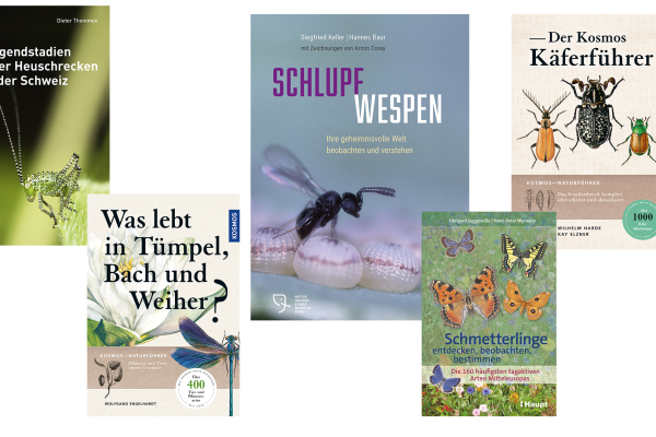 Bücher_d