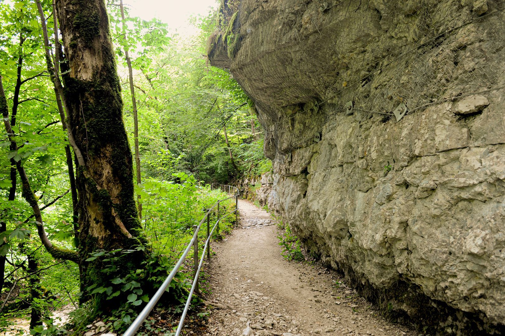 1_Taubenlochschlucht_3