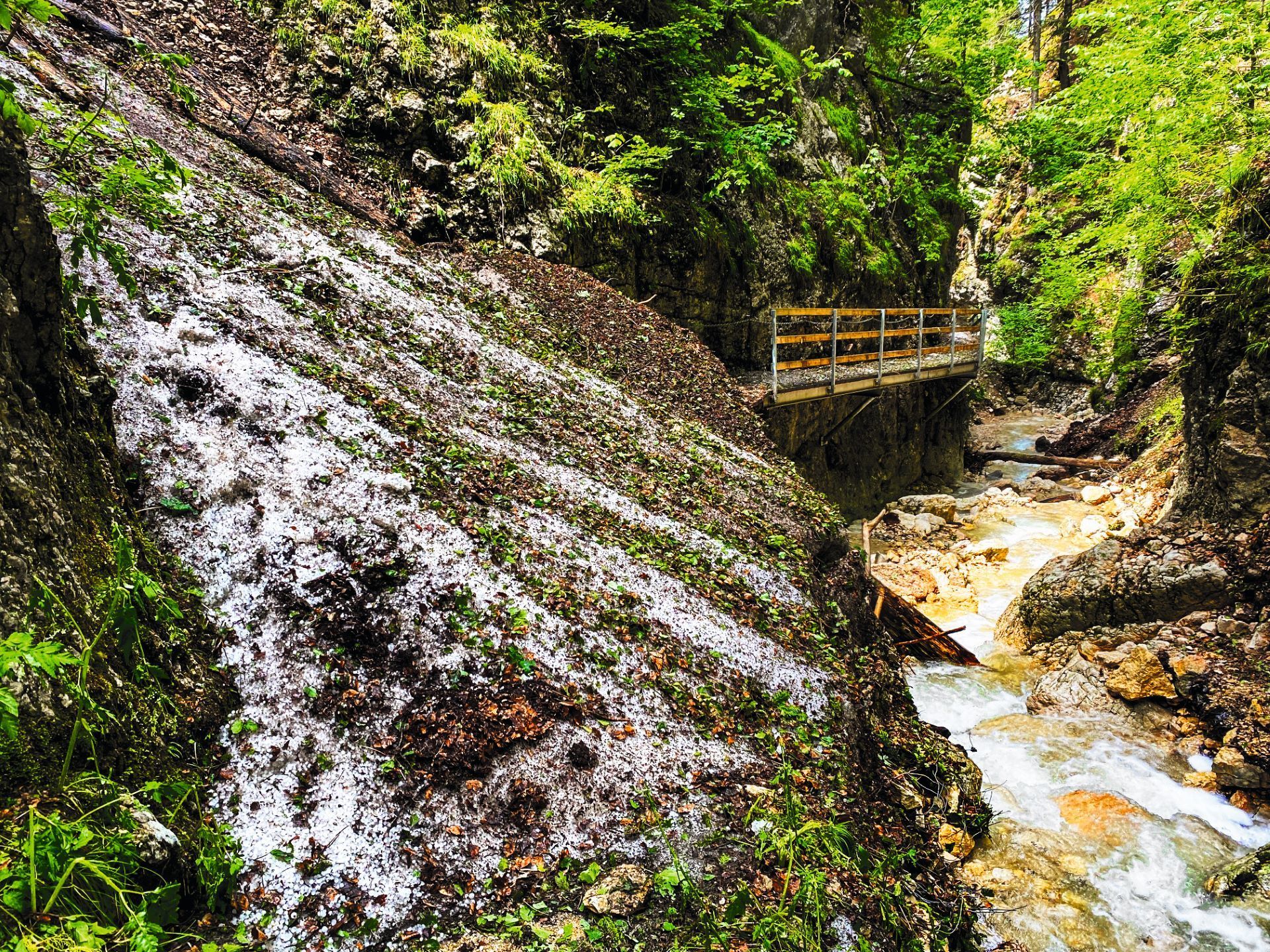 Fotos Schäden zvg (2)