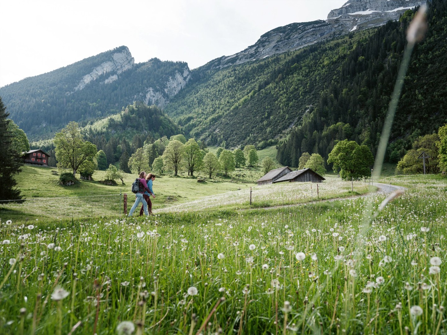 SWW_Spring_2024_7225