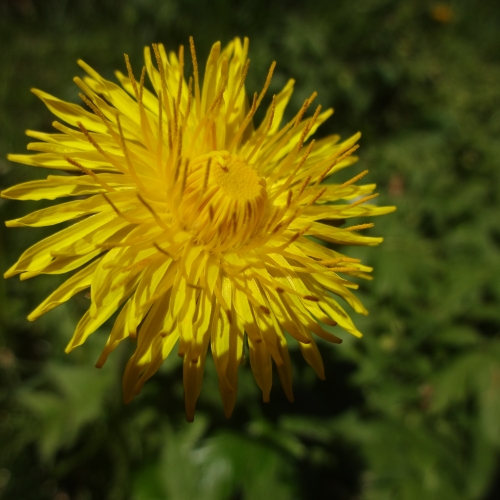 Dsc00999