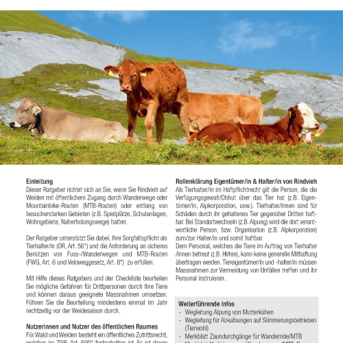 Ratgeber Checkliste Rindvieh im Wandergebiet