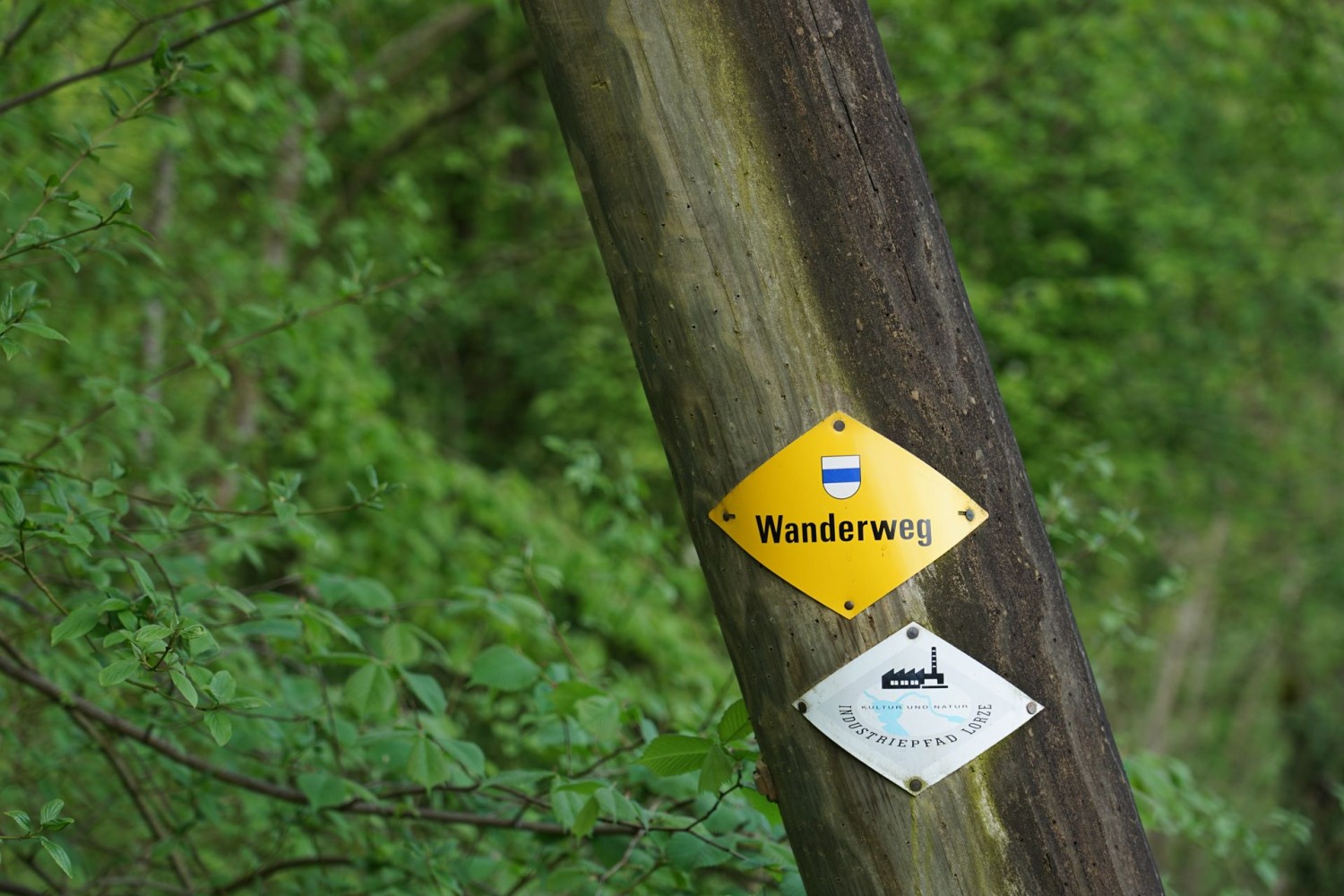 Der Industriepfad Lorze ist insgesamt 30 Kilometer lang.