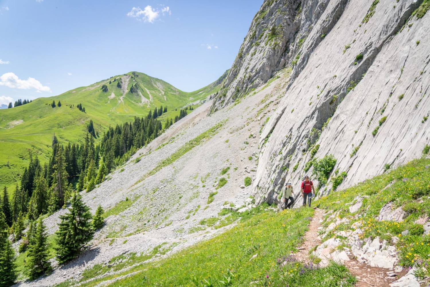 Die steilen Felsen der Wandflue sind ein Kletterparadies.