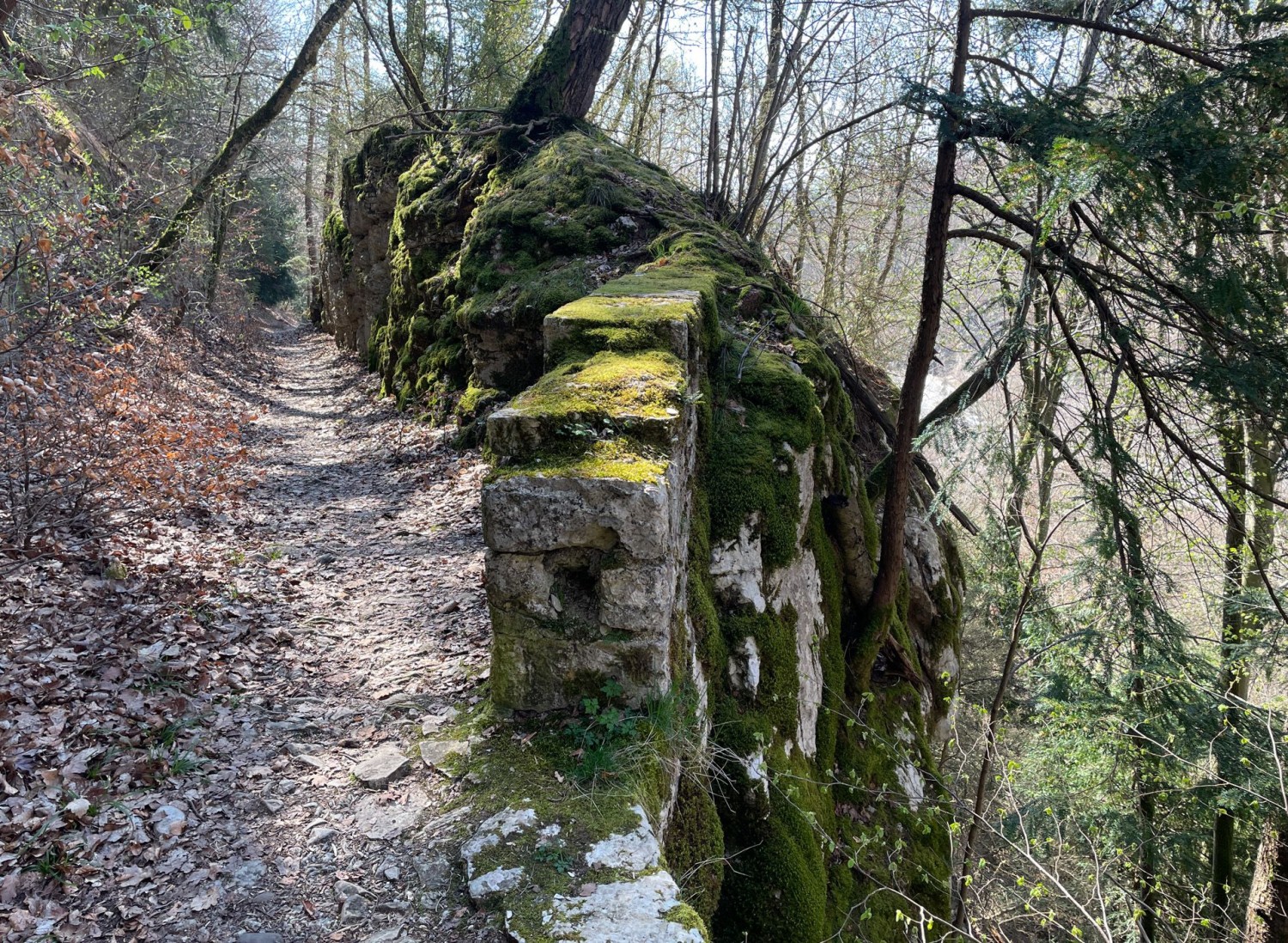 La mousse s’est également répandue dans les gorges.