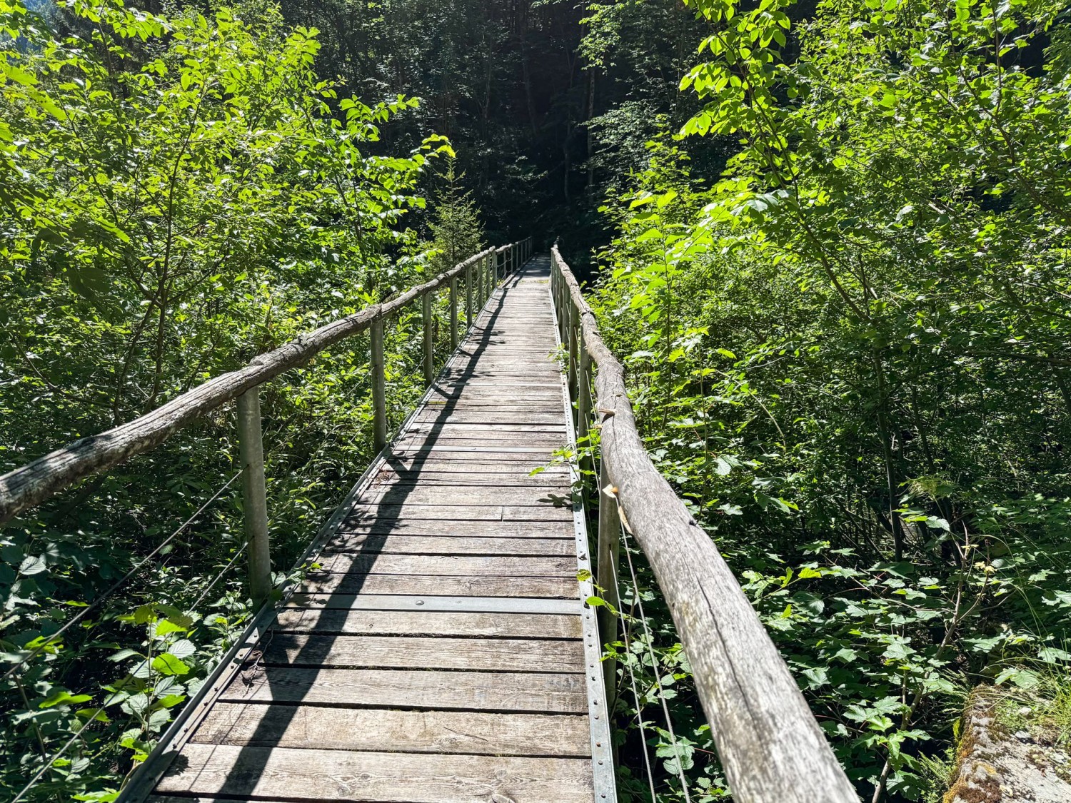 Holzbrücke über die Rovana di Campo