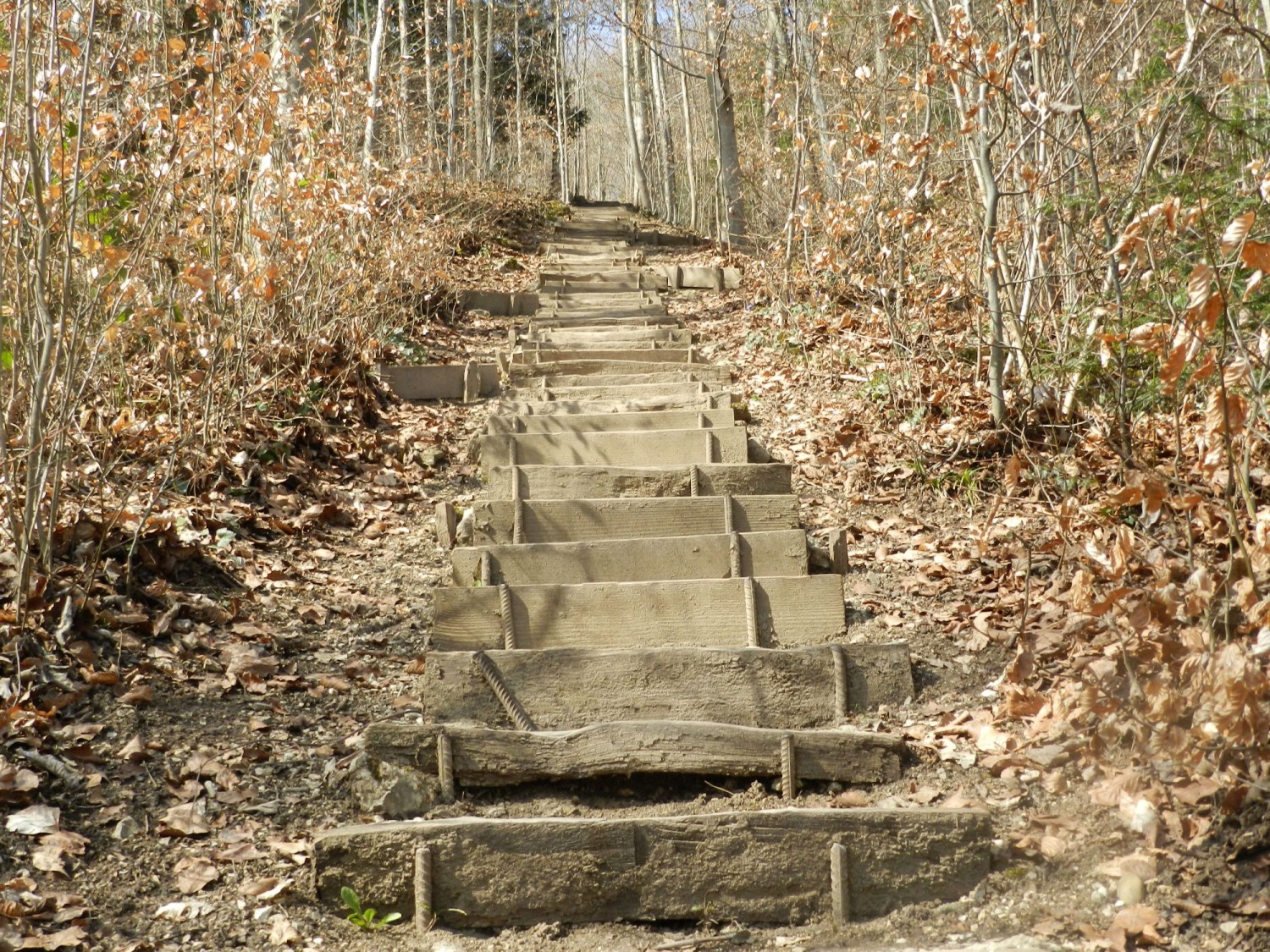 Tuusiger Stägeli © Olten Tourismus