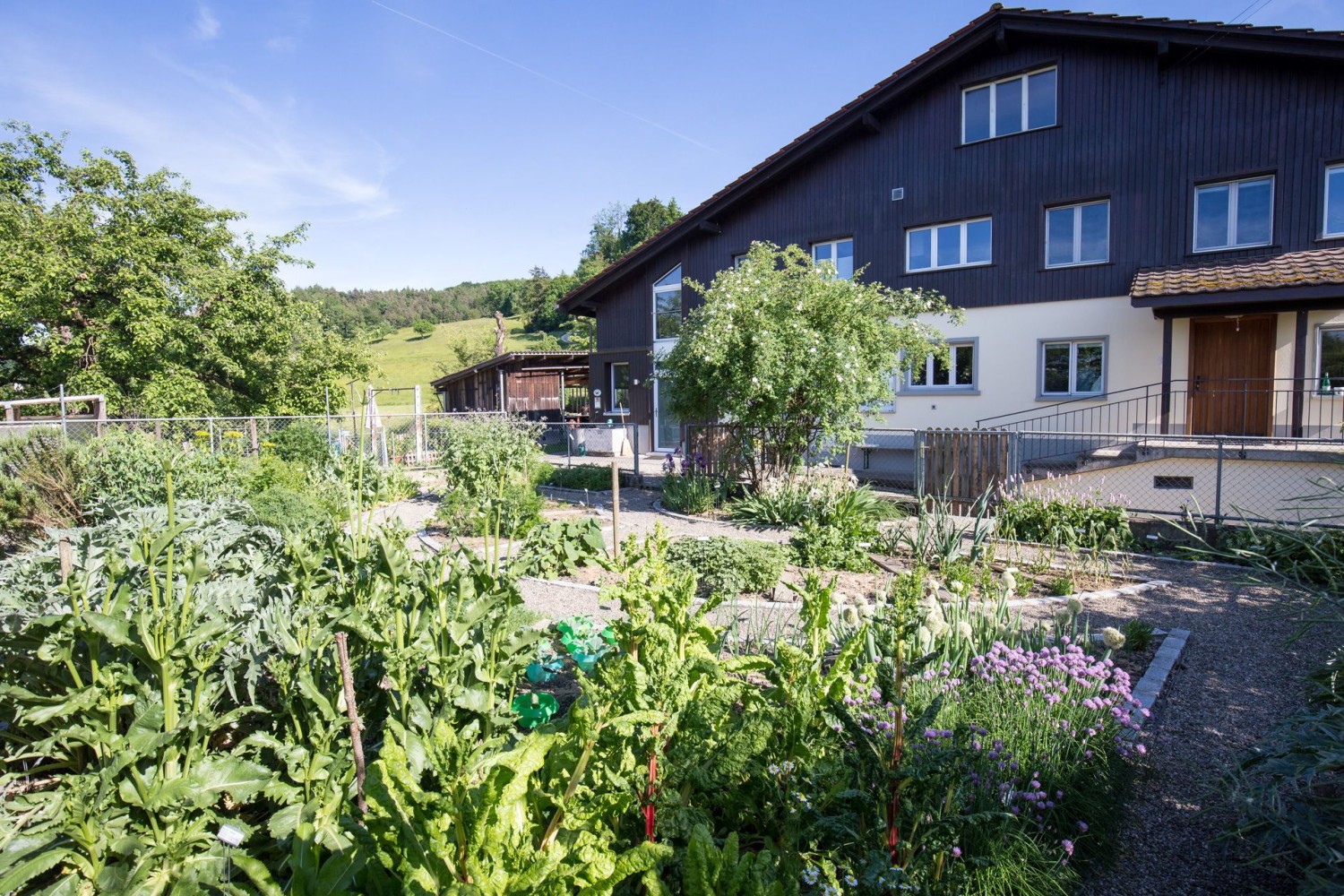 Alimentation, plaisir, médecine: les 89 plantes du Karlsgarten ont tout ce qu’il faut pour rester en bonne santé.