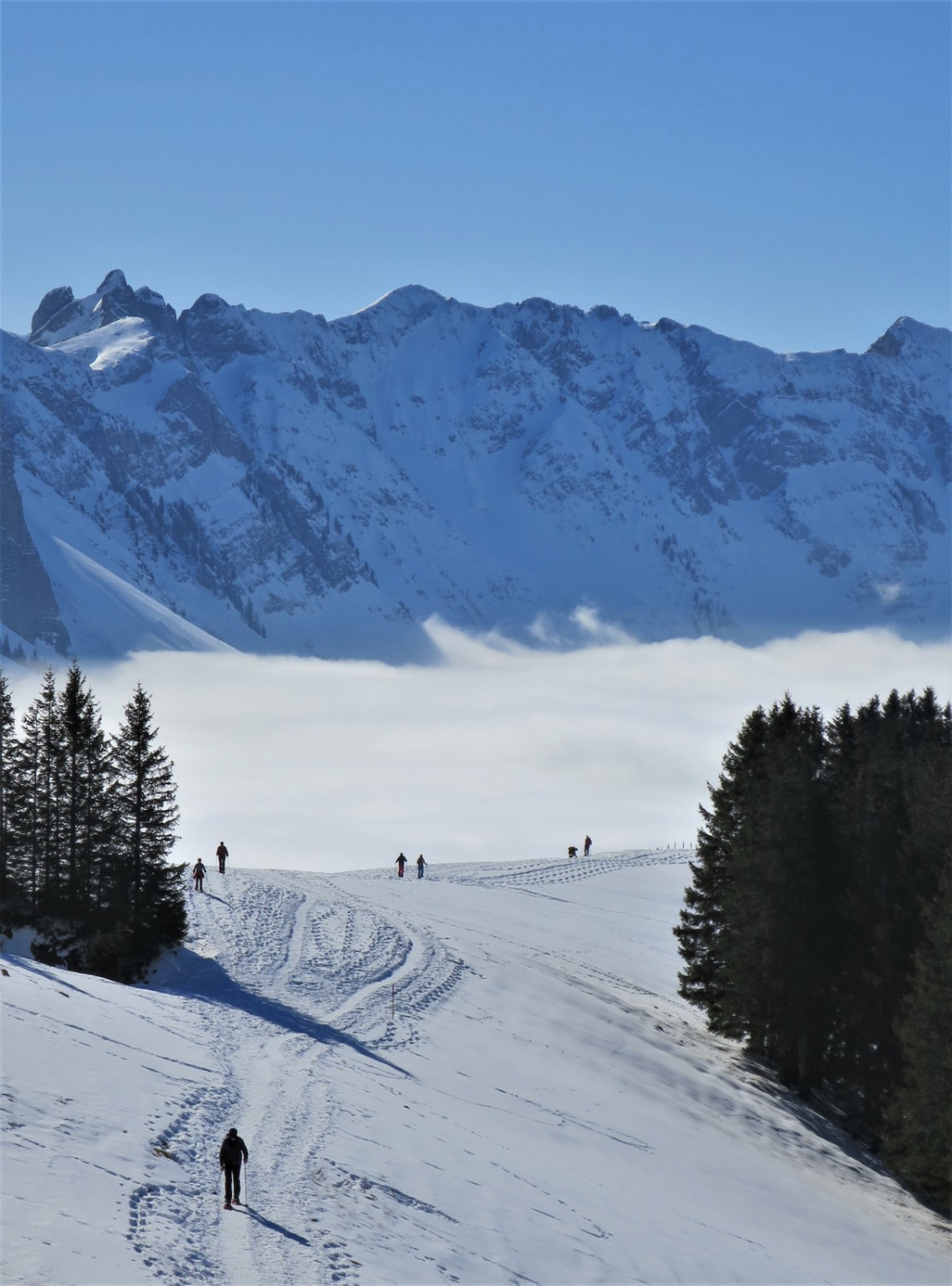 Entre le Langälpli et le Kronberg. Photo: Andreas Staeger.