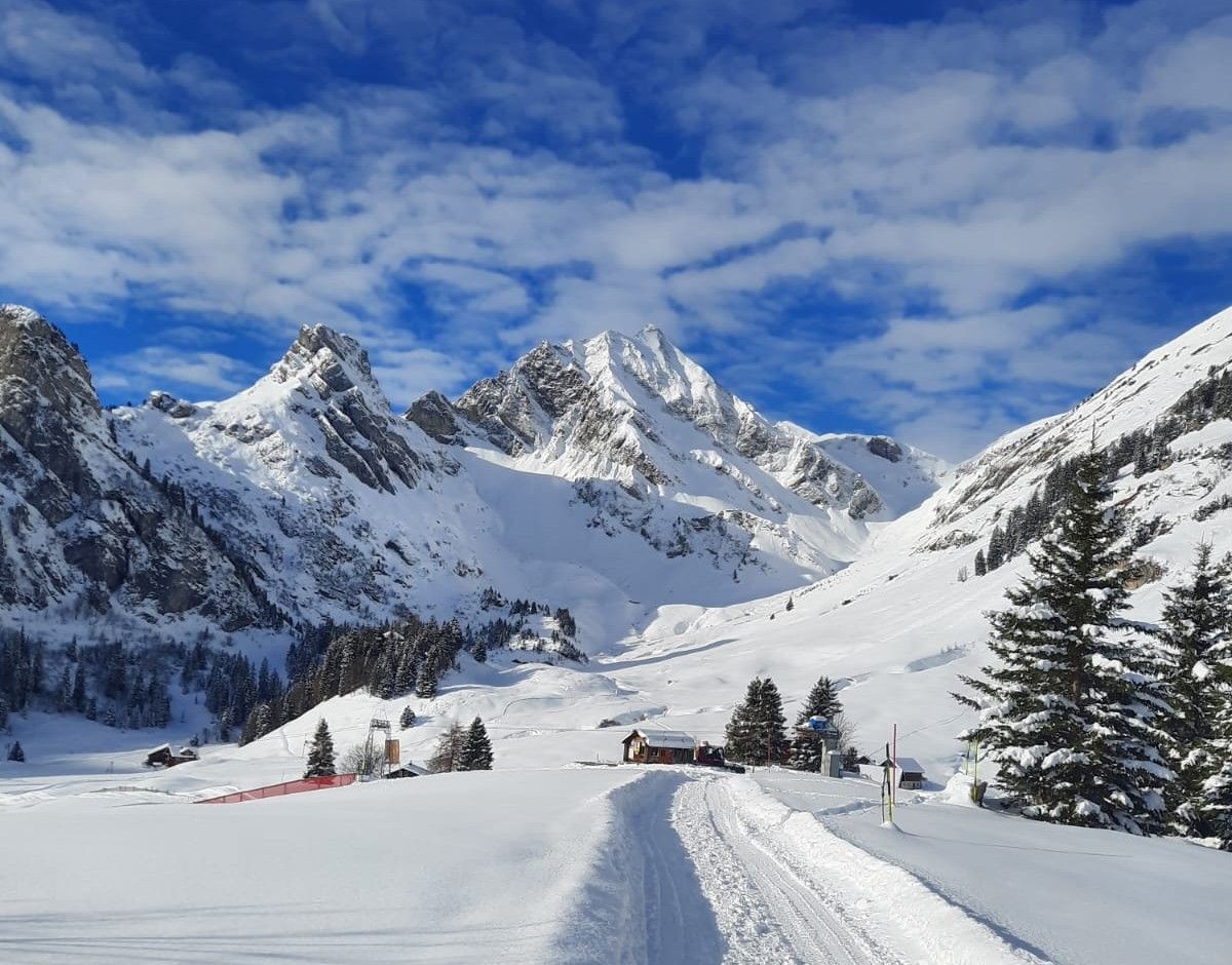 Sicher unterwegs auf Schneeschuhwanderungen im Winter