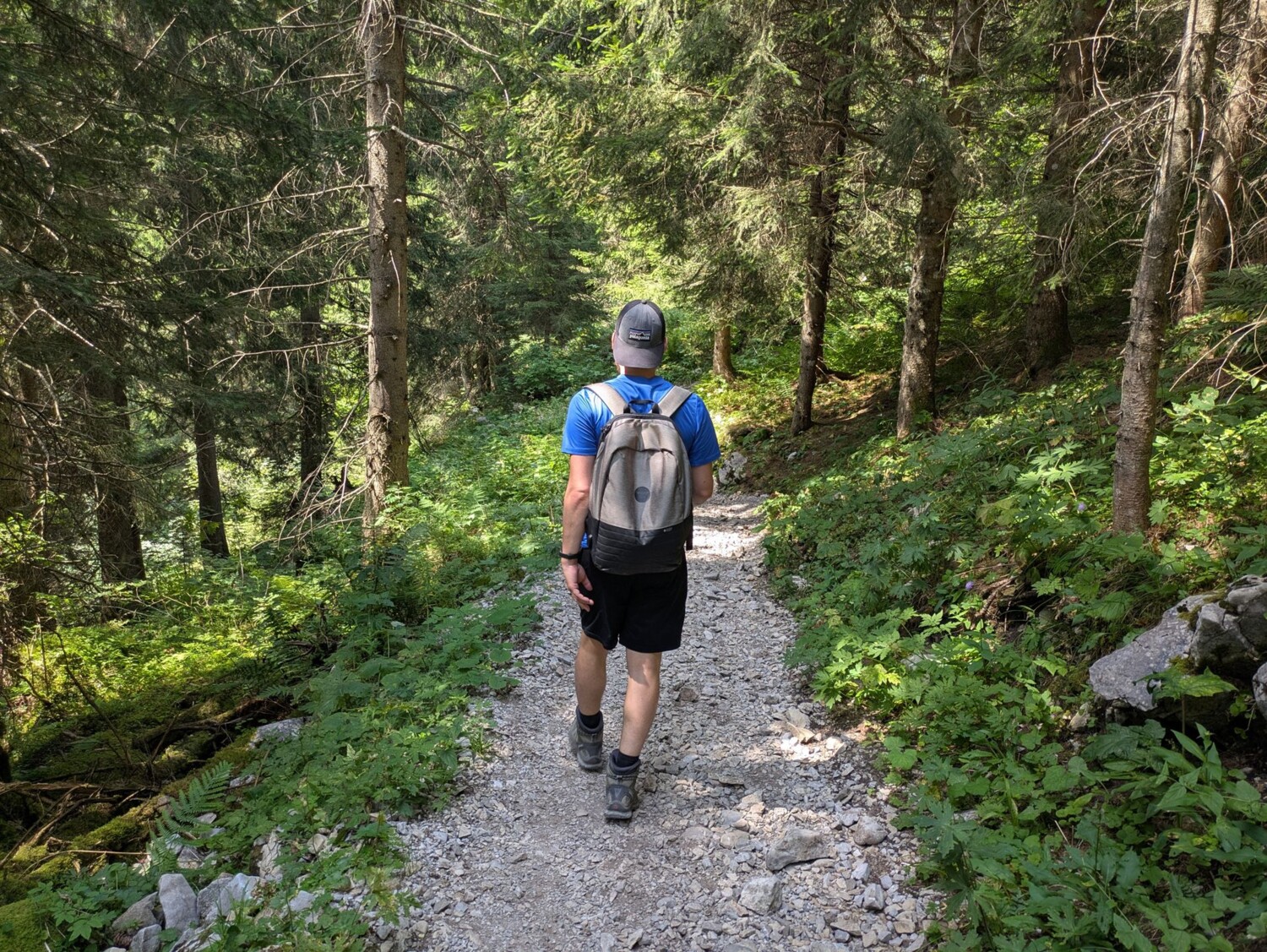 Sortie familiale: même en forêt, le chemin reste bien praticable – parfait pour petits et grands.