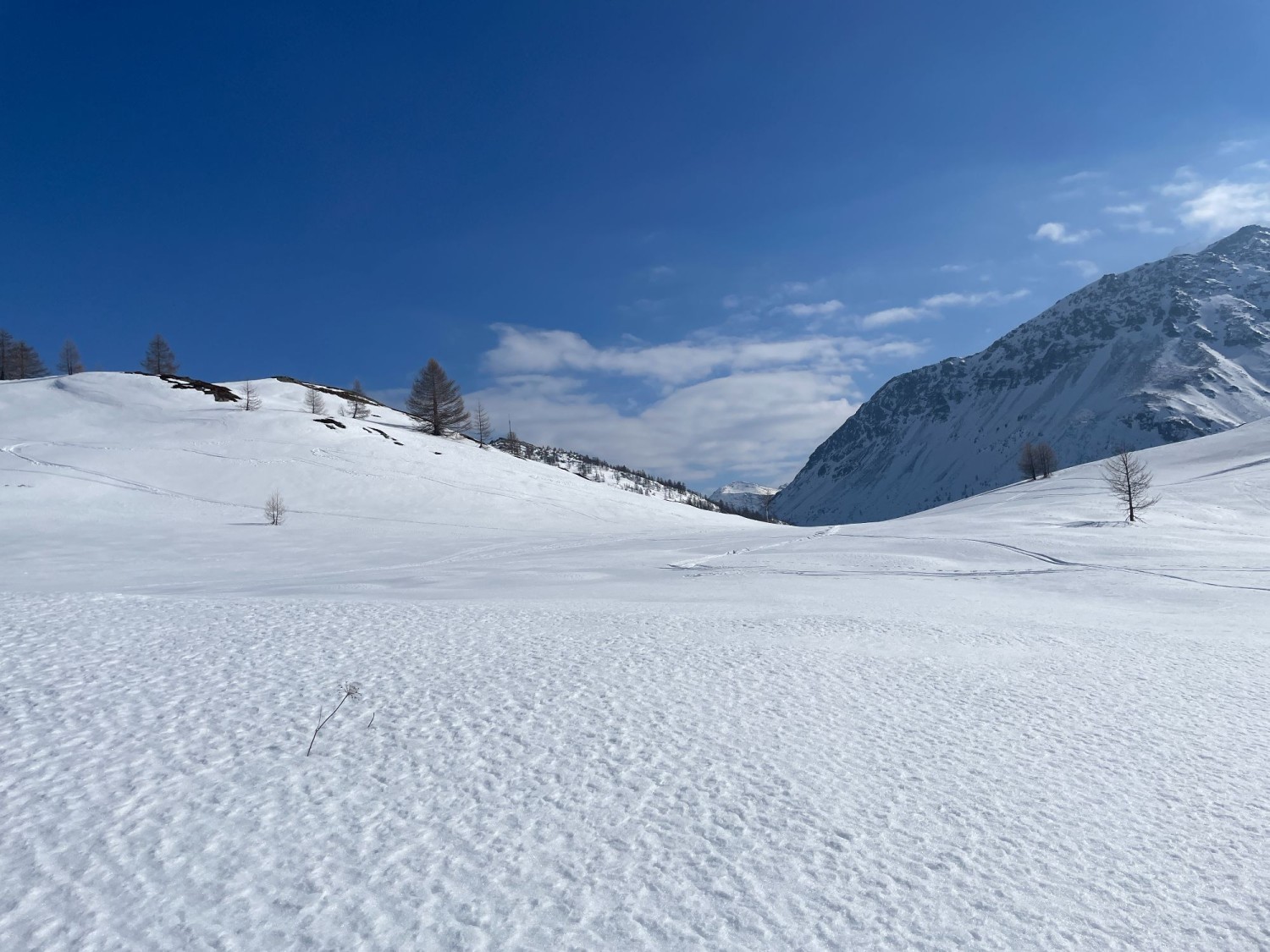 Wind hat den Schnee verblasen.
