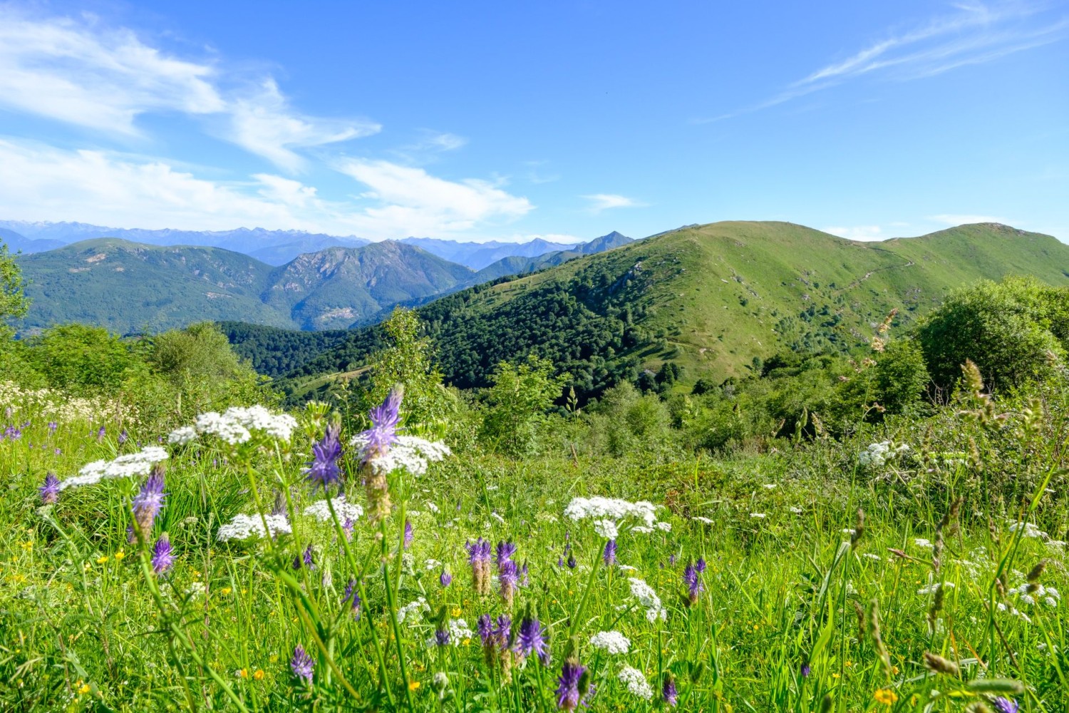 Tôt le matin, on voit à nouveau derrière soi la crête de la première étape.