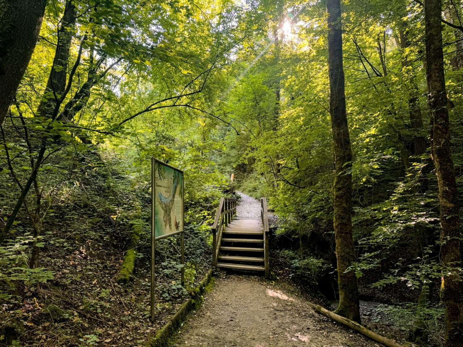 In den Wäldern von Onex sind die Pfade schmaler und märchenhafter.