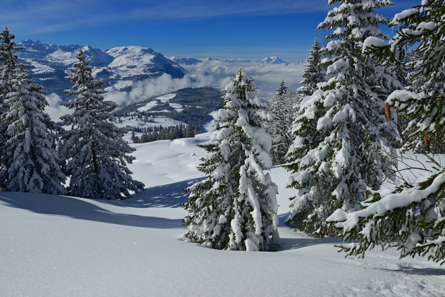 Le paysage montagneux enneigé autour de Stoos, jusqu’au Pilatus tout à droite. Photos: natur-welten.ch